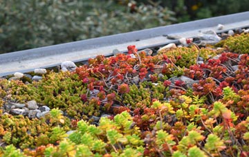the cost of Camb green roof installation