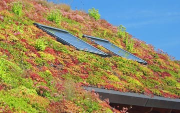 Camb living roof systems
